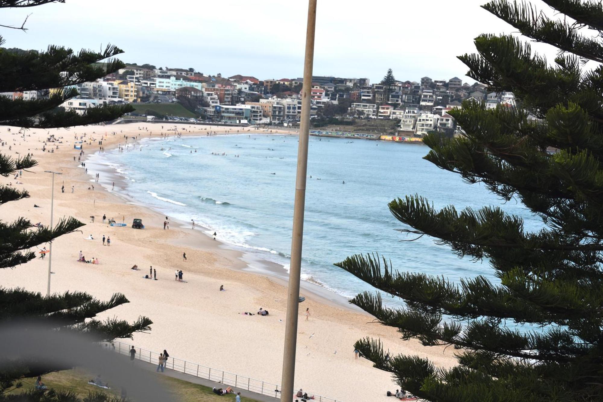 Bondi 38 Serviced Apartments Sydney Exteriör bild